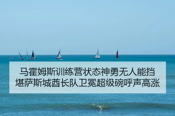 马霍姆斯训练营状态神勇无人能挡 堪萨斯城酋长队卫冕超级碗呼声高涨